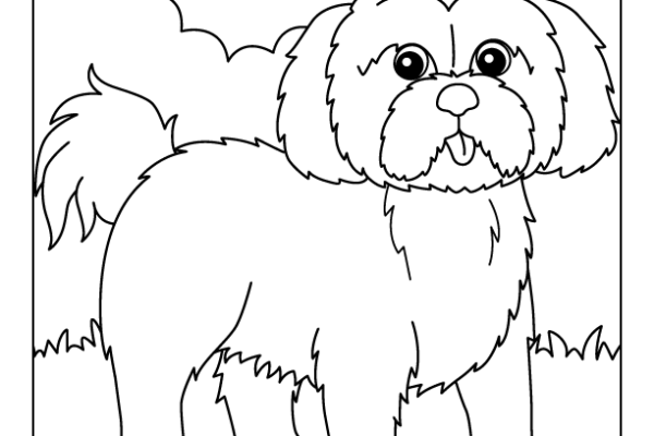 Shih Tzu Dog Coloring Page