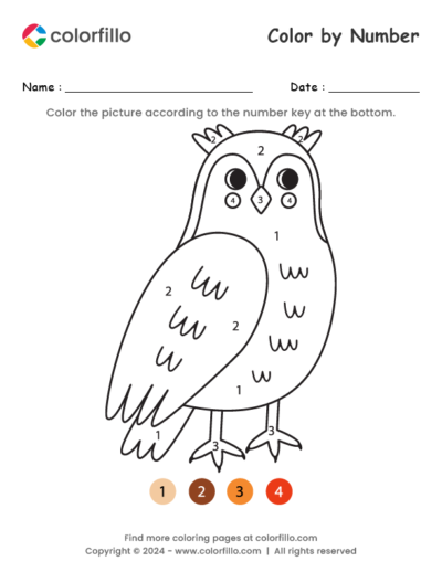 Owl Color by Number