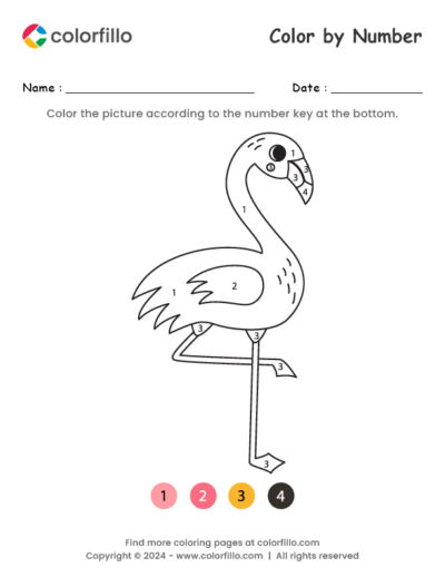 Flamingo Color by Number