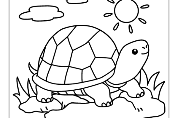 Turtle Coloring Page