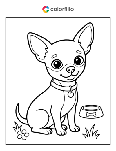 Chihuahua Coloring Page