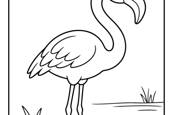 Flamingo Coloring Page