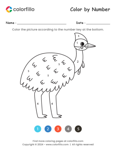 Cassowary Color by Number
