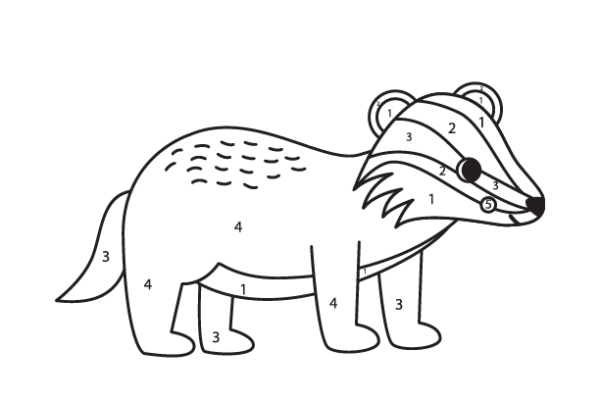 Badger Color by Number