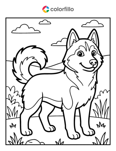 Siberian Husky Coloring Page