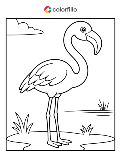 Flamingo Coloring Pages