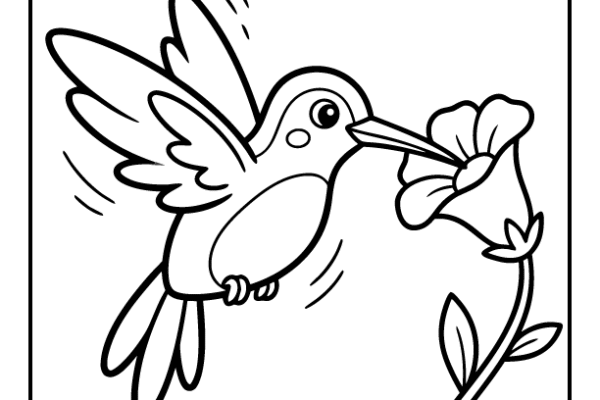 Hummingbird Coloring Page