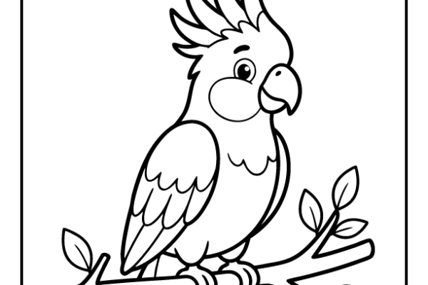 Cockatoo Coloring Page