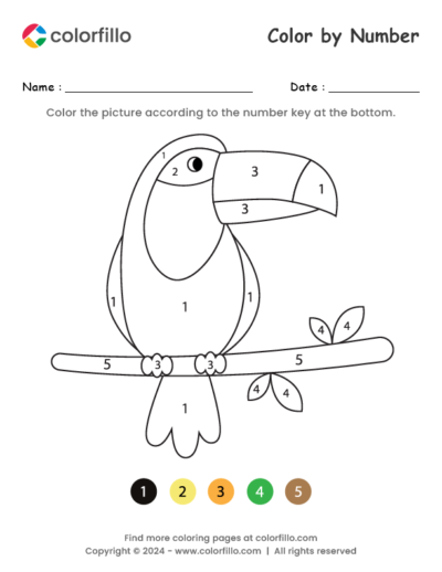 Toucan Color by Number