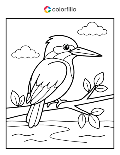 Kingfisher Coloring Pages