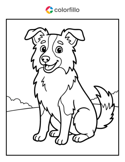 Border Collie Coloring Page